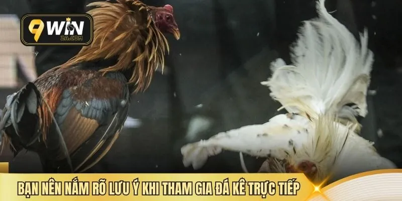 Bạn nên nắm rõ lưu ý khi tham gia đá kê trực tiếp