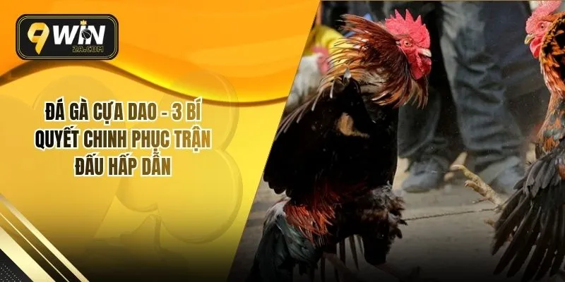 Đá Gà Cựa Dao - 3 Bí Quyết Chinh Phục Trận Đấu Hấp Dẫn