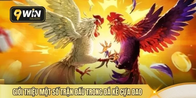 Giới thiệu một số trận đấu trong đá kê cựa Đao