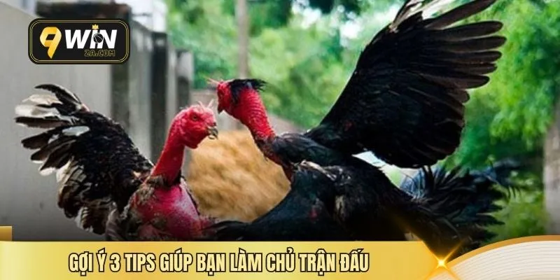 Gợi ý 3 tips giúp bạn làm chủ trận đấu 