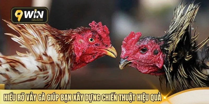 Hiểu rõ vảy gà giúp bạn xây dựng chiến thuật hiệu quả