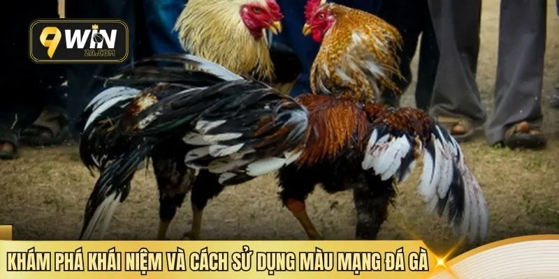 Khám phá khái niệm và cách sử dụng màu mạng đá gà