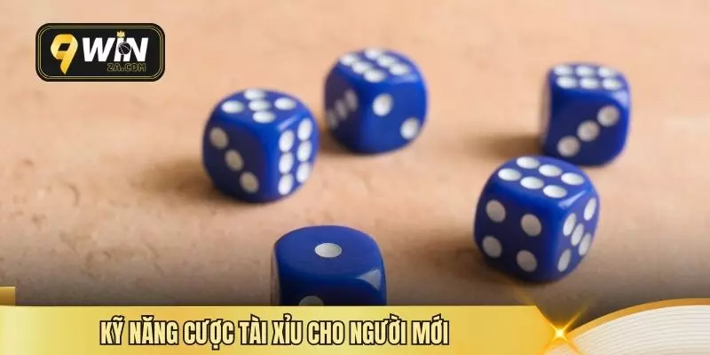 Kỹ năng cược tài xỉu cho người mới