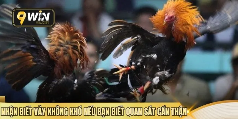 Nhận biết vảy không khó nếu bạn biết quan sát cẩn thận