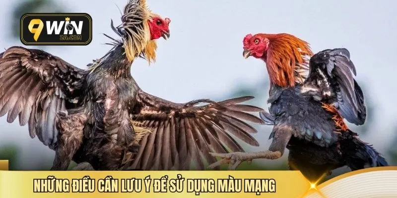 Những điều cần lưu ý để sử dụng màu mạng