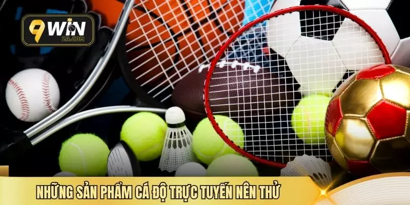 Những sản phẩm cá độ trực tuyến nên thử