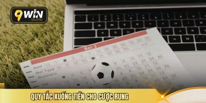 Quy tắc xuống tiền cho cược rung