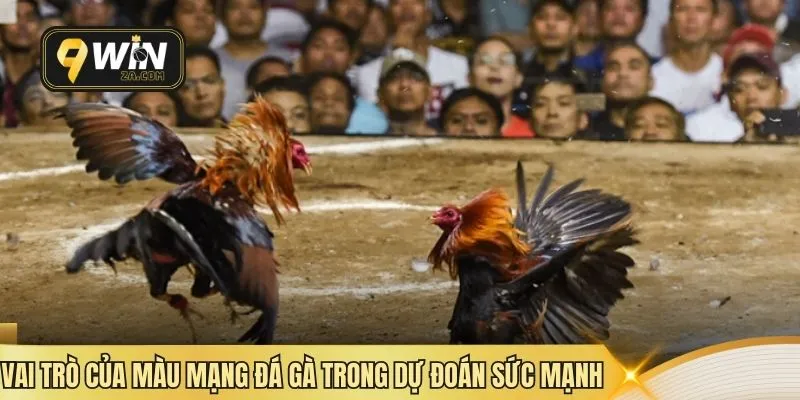 Vai trò của màu mạng đá gà trong dự đoán sức mạnh